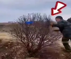 کشاورزی نوین؛ شاخه های درخت مرده رو با طناب فشرده کردن زنده شد و سرسبز خداتومن فروختن