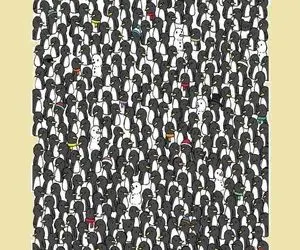 بازی فکری؛ مغزت باید فول فسفر باشه تا بتونی 3 تا گربه ناقلا رو بین پنگوئن ها پیدا کنی