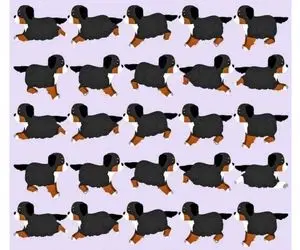 بازی فکری؛ فقط ۱ درصد افراد با چشم شاهین می‌ توانن توله سگ عجیب و غریب رو پیدا کنن