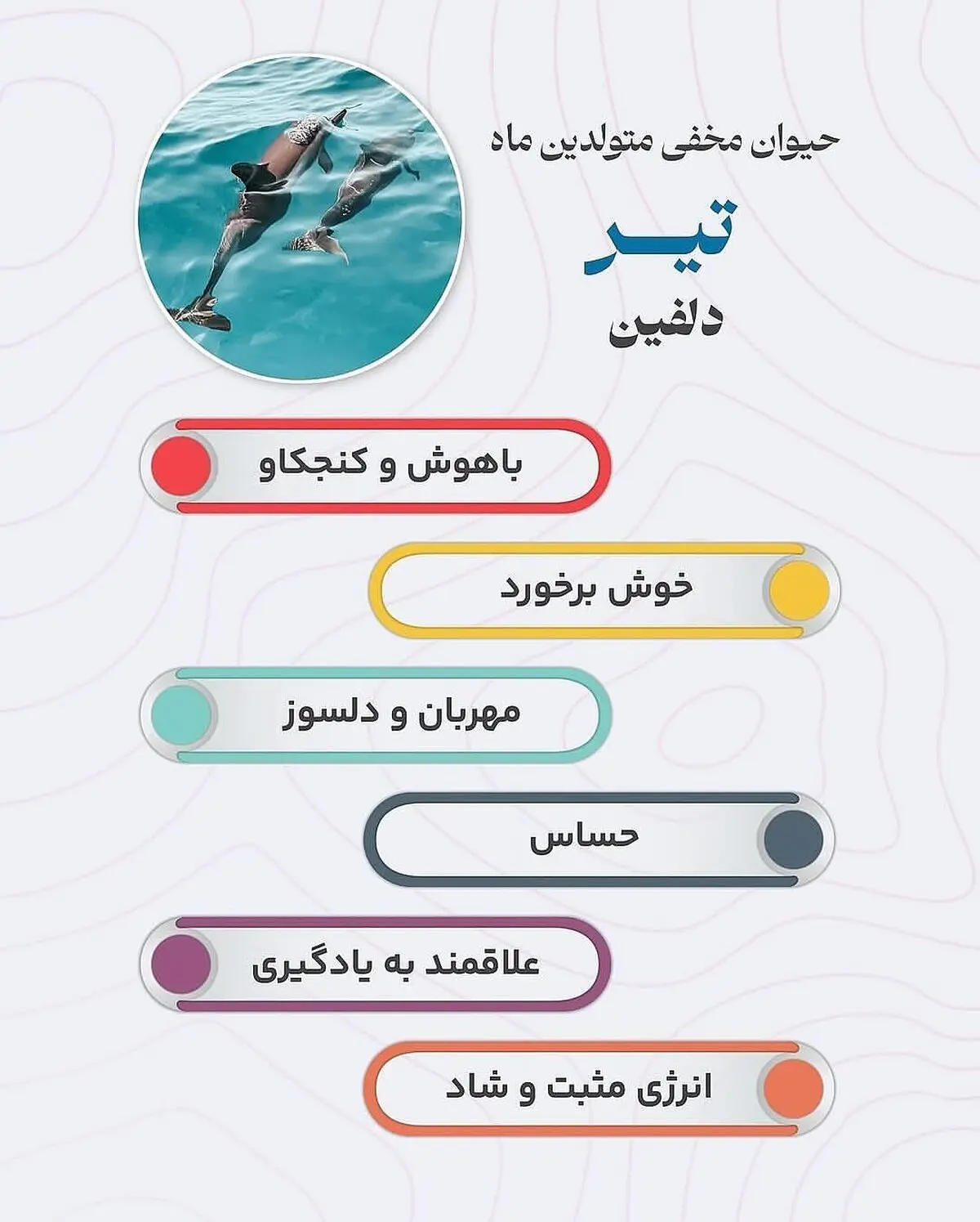 حیوان هر ماه