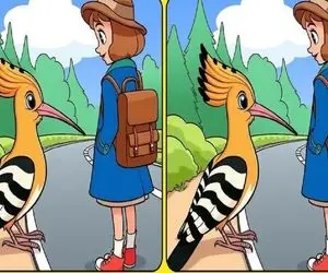 بازی فکری؛  فقط تیزبینا تفاوت های 2 تصویر هد هد شانه به سر و دخترک را پیدا می کنن