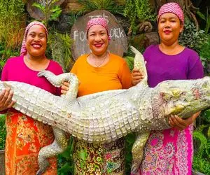 غذای چندش؛ فلس تمساح و با کارد جدا میکنه با رزماری و رب گوجه کبابی میکنه