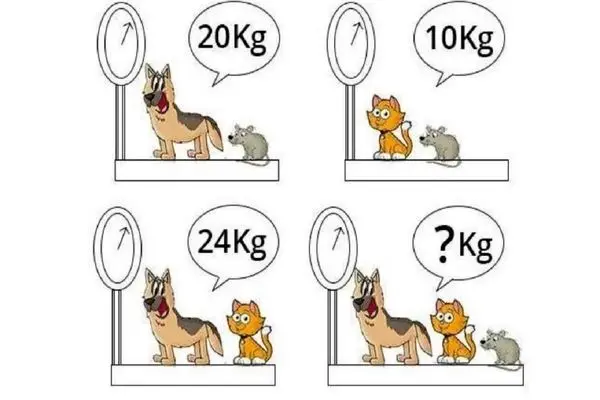 بازی فکری؛ باید تک تک سلول هات از هوش باشه تا وزن حیوانات رو بسنجی
