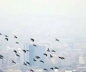 بازگشت آلودگی به کلانشهرها از روز یکشنبه / بارندگی و سرما در اکثر نقاط کشور