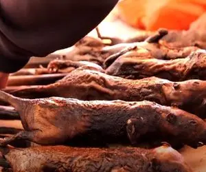 غذای چندش؛ موش های سیاه فاضلاب و با وایتکس سفید میکنه تو روغن داغ سرخ میکنه