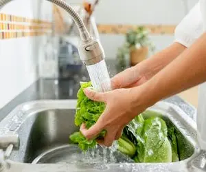 ترفندهای خانه داری؛ نحوه صحیح شستن و ضدعفونی کردن سبزیجات