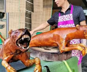 کباب سگ؛ کله پاچه سگ نازنازی ولگرد رنگی و بعد بریونی کردن با بشامل سرو میکنه