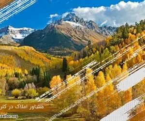 خرید خانه در کلرادو؛ مشاوران املاک ایرانی