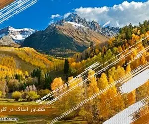 خرید خانه در کلرادو؛ مشاوران املاک ایرانی