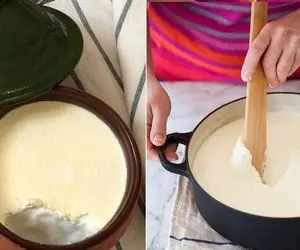 ترفندهای ماست زدن؛ مایه ماست چه ویژگی هایی باید داشته باشد؟