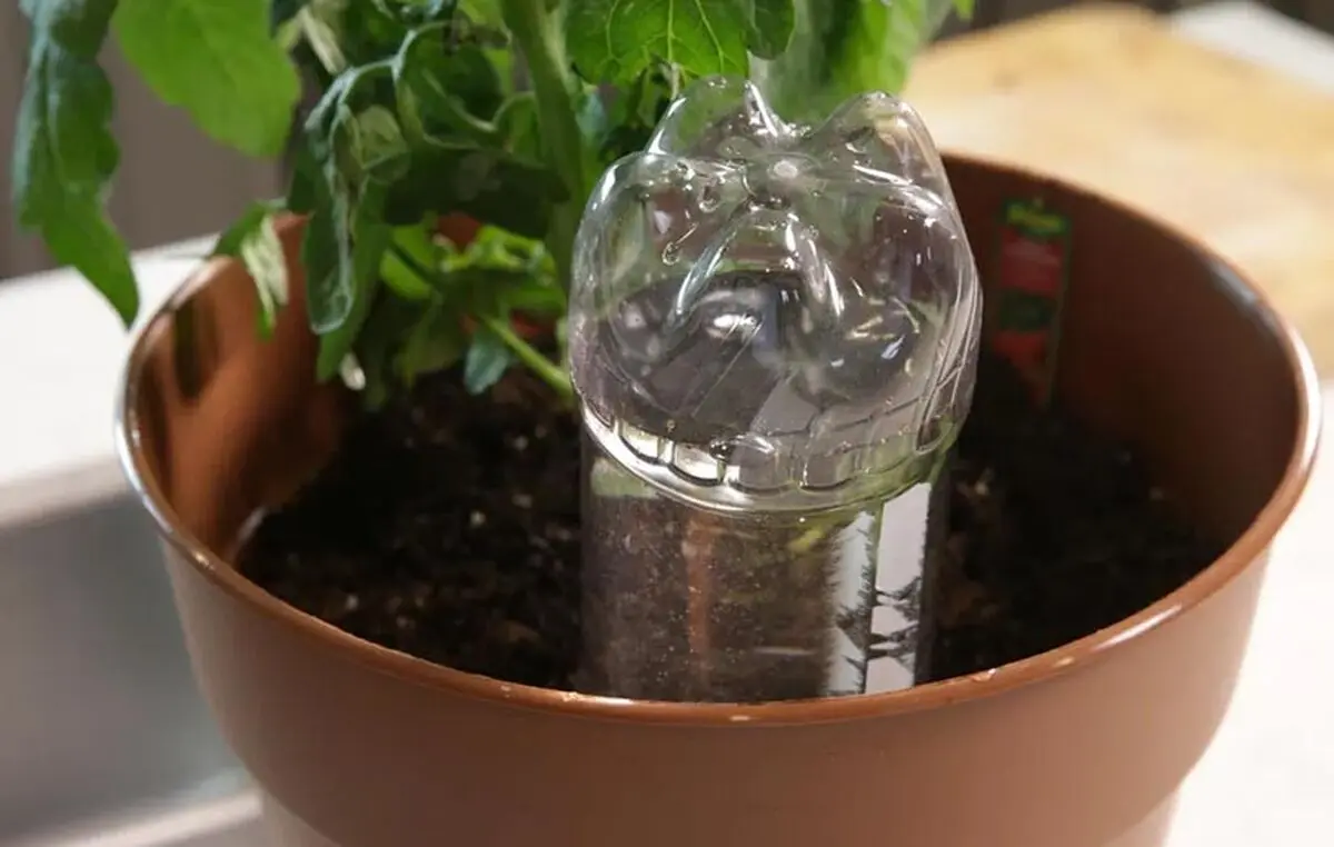 Methods-of-watering-plants-while-traveling-03