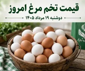قیمت تخم مرغ امروز دوشنبه 19 مرداد 1405 / 30 عدد تخم مرغ چند؟