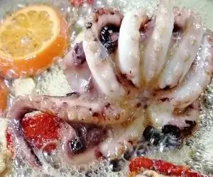 قوت لایموت؛ بچه اختاپوس ها رو با تور جمع و خشک میکنن مثل چیپس کنار غذا سرو میکنن