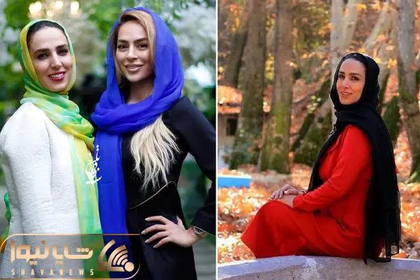 sogol tahmasbii shayanews