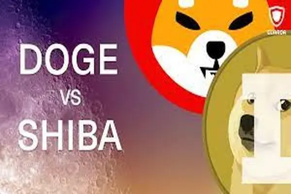 SHIBAINU dogcoin