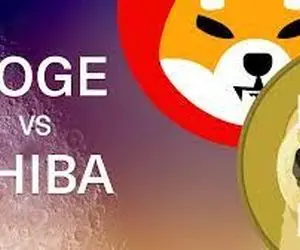 بازگشت دوج کوین به سلطنت؟!