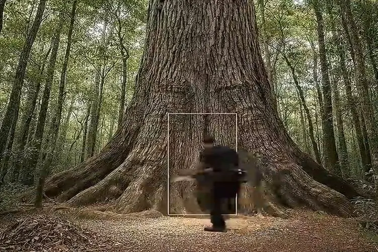 معماری خلاقانه؛ تنه ی درخت چندین هزار ساله رو تخلیه کرد خونه ی هابیل قابیل ساخت توش