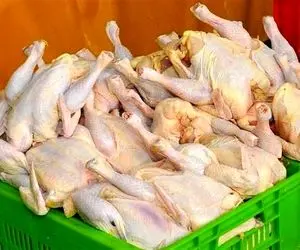 قیمت مرغ گرم در بازار امروز شنبه 18 بهمن 99