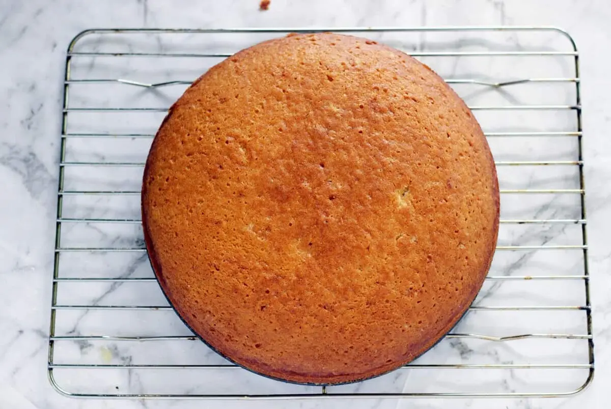 cake-bedun-e-fer4