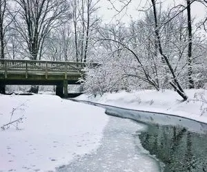 پبش بینی هواشناسی؛ ادامه دار بودن بارش برف تا آخر هفته