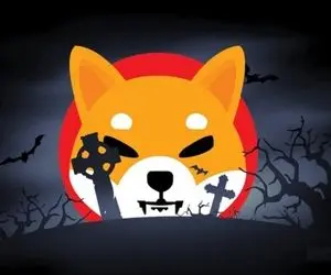 سیگنال بسیار مهم و جنجالی از شیبااینو!