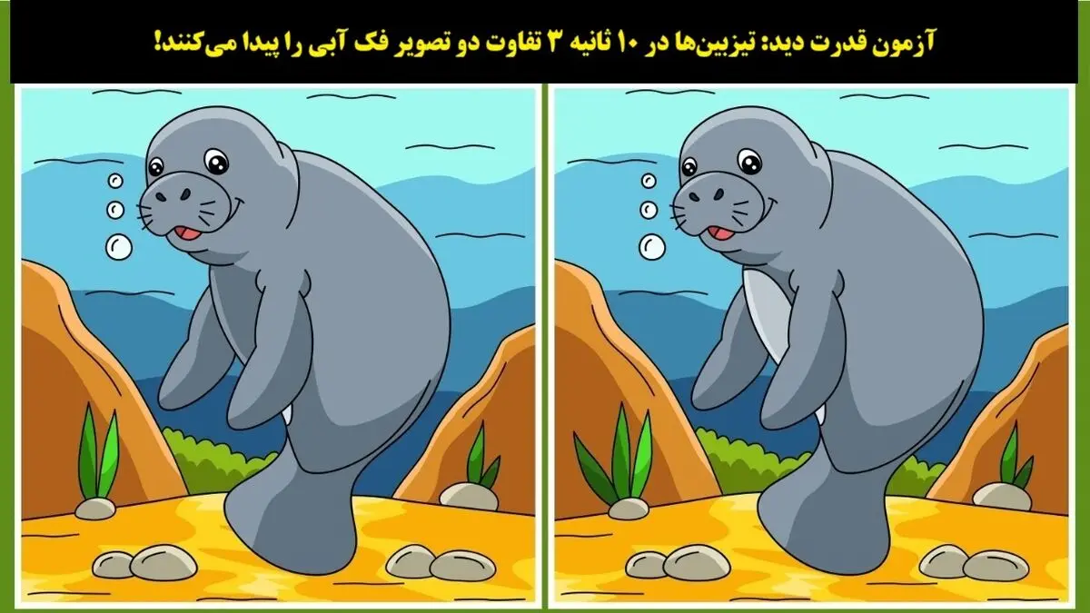 فک 1