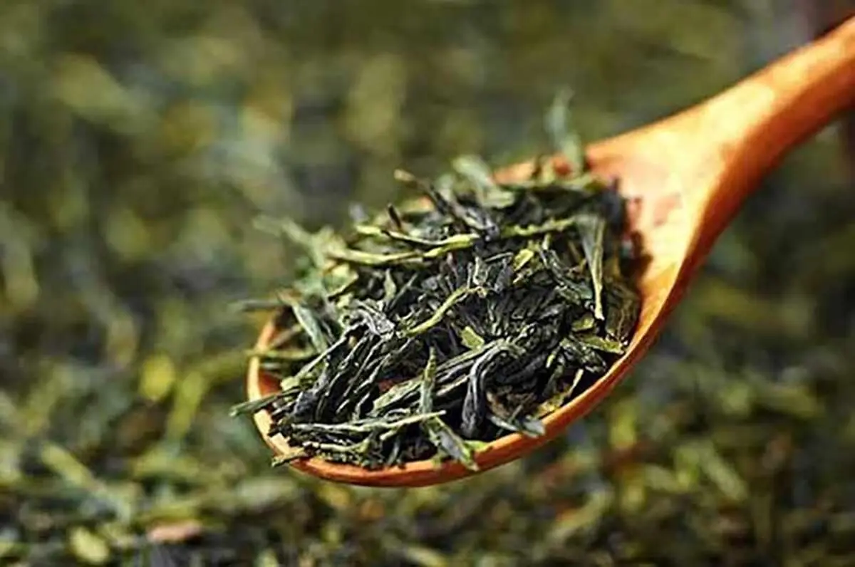 چای-سبز