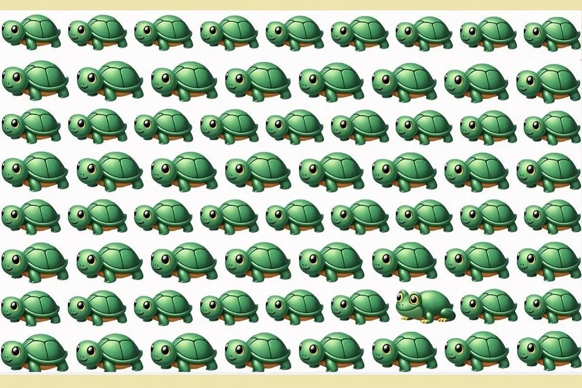 تست-بینایی-یافتن-قورباغه-میان-لاک-پشت-ها