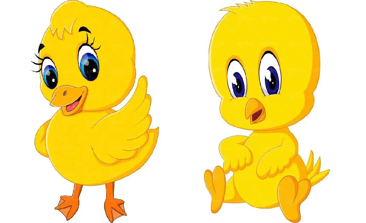 80