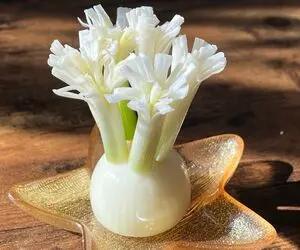 ایده های خلاقانه؛ تزئین پیازچه برای سبزی خوردن
