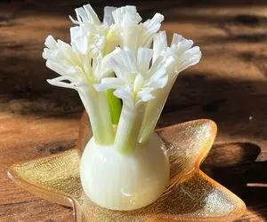 ایده های خلاقانه؛ تزئین پیازچه برای سبزی خوردن