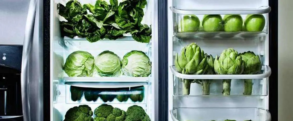 vegetable-refrigerator2