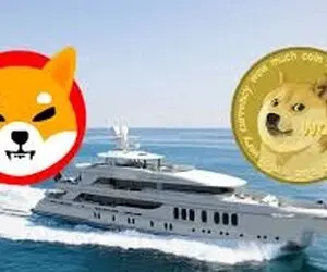 پیش بینی مهم از دوج کوین و شیبااینو؛خاموشی مطلق؟