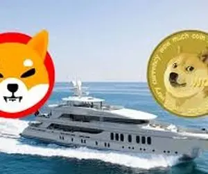 پیش بینی مهم از دوج کوین و شیبااینو؛خاموشی مطلق؟