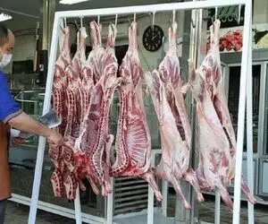 (جدول) قیمت دام زنده امروز ۷ مهر ۱۴۰۳/ نرخ دام در ۲ استان افت و خیز کرد!