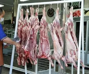 (جدول) قیمت دام زنده امروز ۷ مهر ۱۴۰۳/ نرخ دام در ۲ استان افت و خیز کرد!