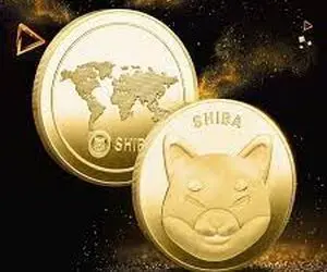 بد شانسی گریبان"شیبا اینو" شد؟