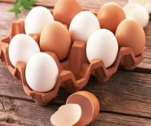 ساده ترین روش تشخیص تخم مرغ تازه از کهنه