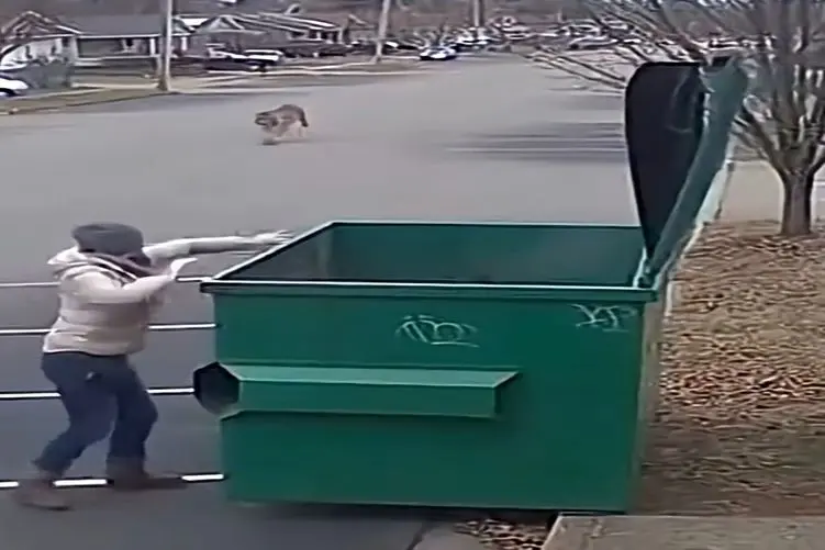 معماری طبیعت؛ ببر اومده تو شهر یارو دیدش راه چندشی رو برای فرار انتخاب کرد