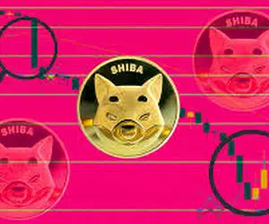 شیبااینو تو آتیش افتاده!