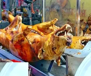 کباب سگ؛ سگ نازنازی زمخت و تو سلاخخونه به صلابه کشید بریونی کرد اسلایسی فروخت