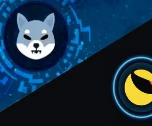 لونا رقیب قدیمی شیبااینو به چرخه برمی‌گردد؟