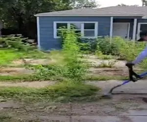 تمیزکاری لذتبخش؛ با تجهیزات مخصوص حیاط های کثافت گرفته رو تمیز میکنن روحتو جلا میده