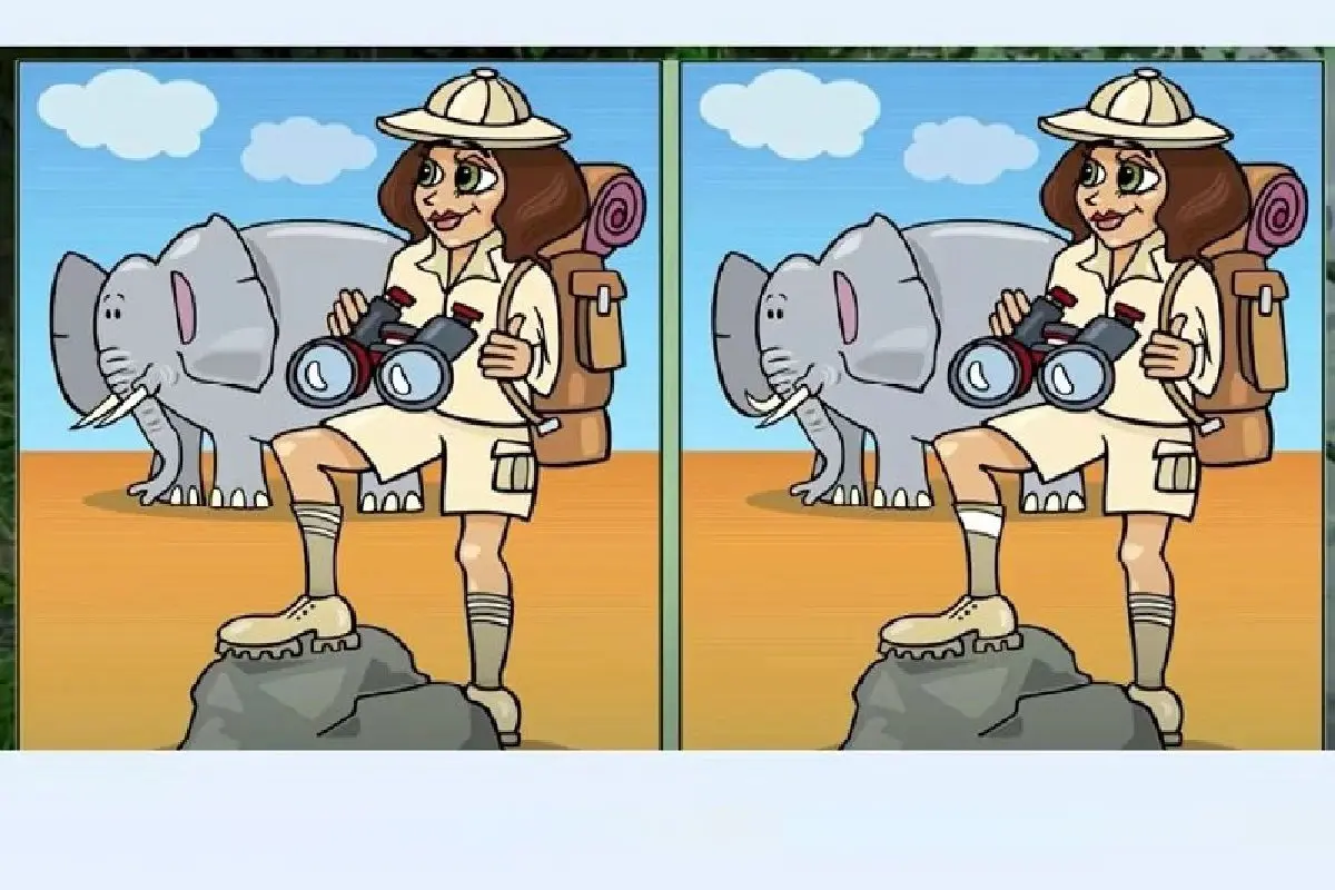 کابوی جنگلی