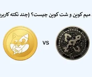 فرق میم کوین و شت کوین چیست؟ (چند نکته کاربردی)