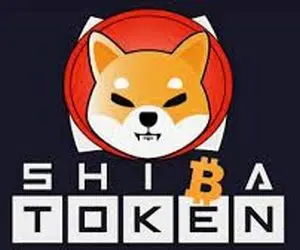 انتقاد شدید از شیبااینو!