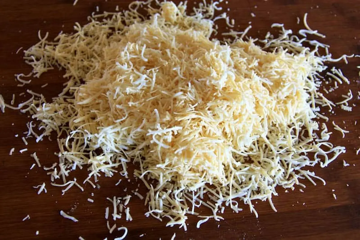 قارچ شکم پر