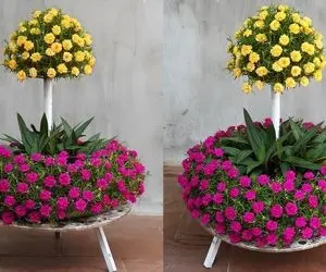 ایده های خلاقانه؛ خوشگل کردن باغچه خیلی مهم اینجوری با سلیقه بودنتو به رخ بکش