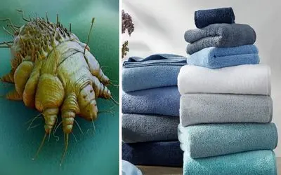 تاریخ انقضای حوله حمام و حوله دستی؛ در غیر این صورت باکتری ها شما را میبوسند!