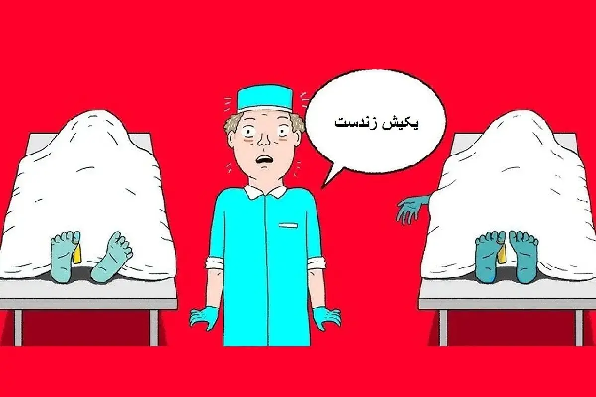 جنلطز